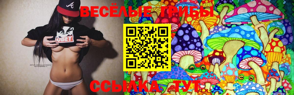 Галлюциногенные грибы GOLDEN TEACHER Кимры