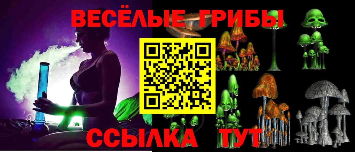Кимры  Псилоцибиновые грибы Cubensis  Вход с VPN  Псилоцибиновые грибы MAGIC MUSHROOMS 