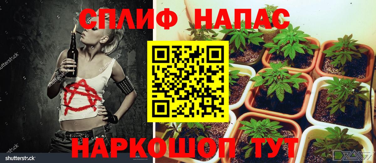 Шишки марихуана VHQ Кимры